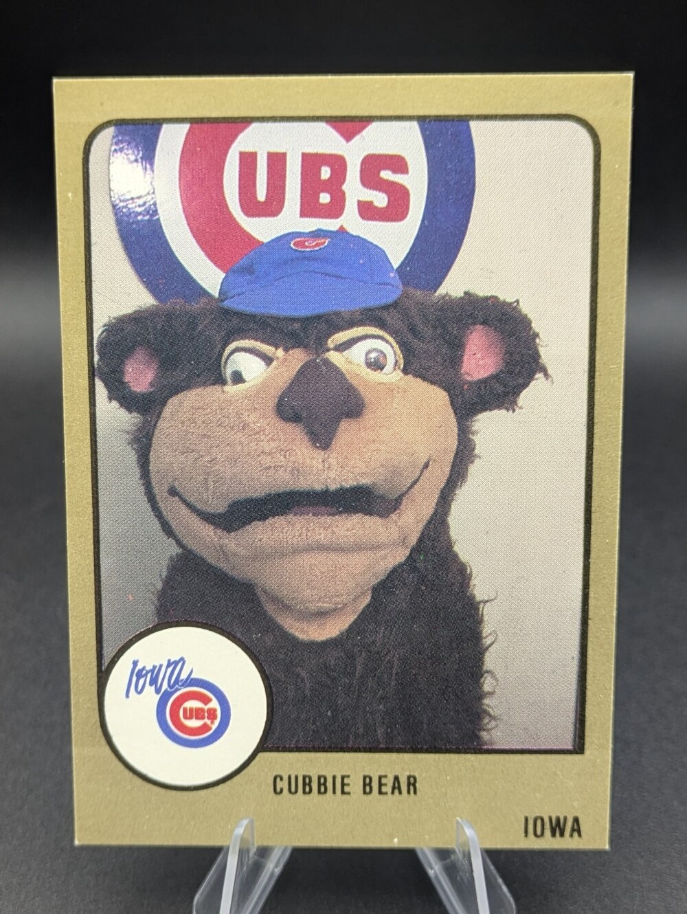 1988 Pro Cards Procards MiLB Iowa Cubs Cubbie Bear Team Mascot #554 Vintage Card